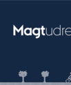 Magtudredningen
