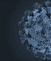 Blåtonet grafik af et coronavirus