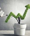 Man waters plant with the shape of an upward share price