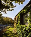 Bygning med træ i efterårssol