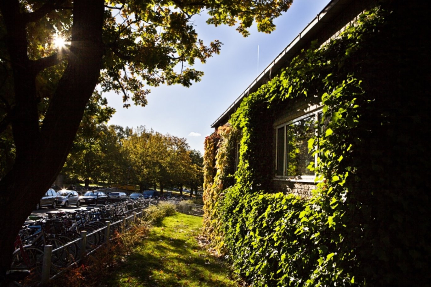 Building with trees and sunlight